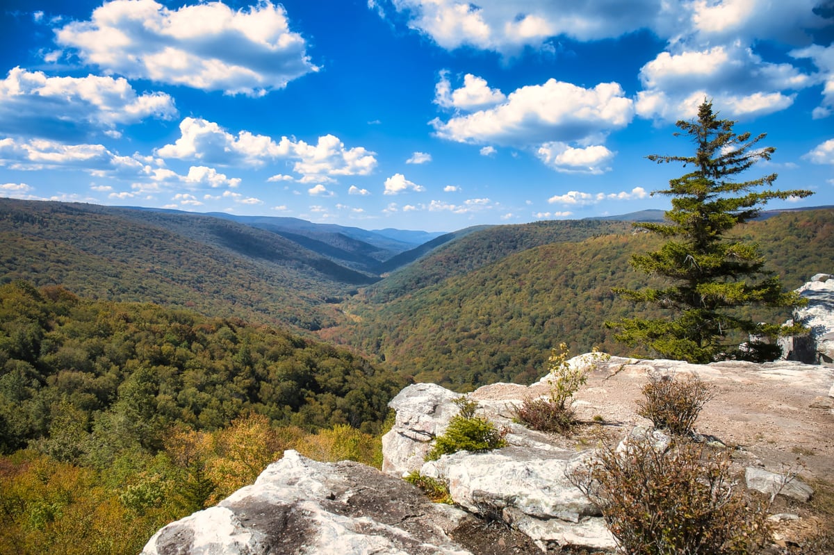 Wide landscape vistas from the West Virginia mountain plateau of Dolly Sods Wilderness