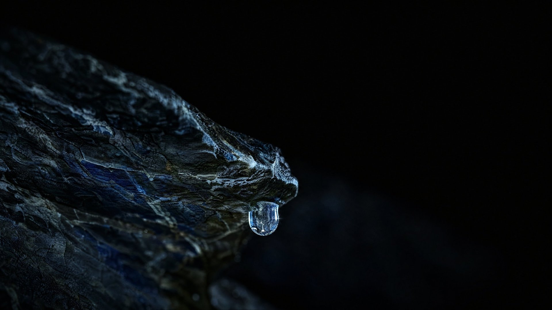 Clear water droplet hanging from a dark textured branch against a black background