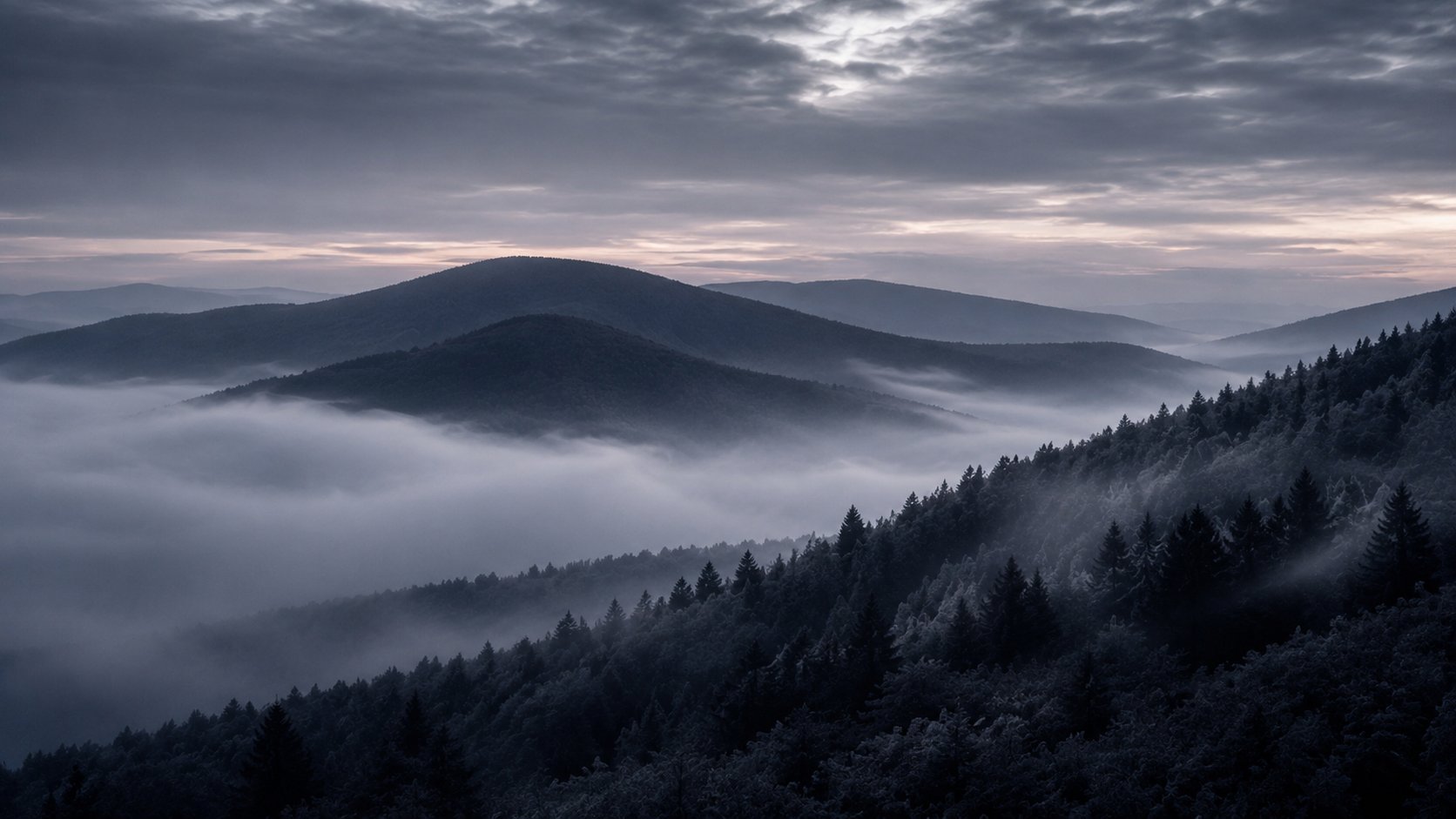 Mountain peak emerging from dense fog with forested slopes under overcast sky at dawn or dusk