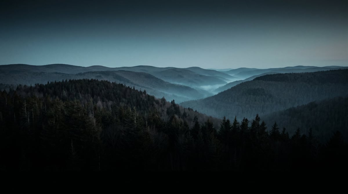 Misty mountain landscape with dense evergreen forest in valley and layered mountain ridges under moody blue-grey sky